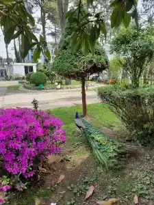 Kolkhida Resort & Spa - 18