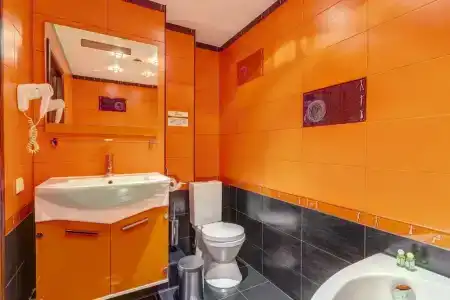 Shelton - 31