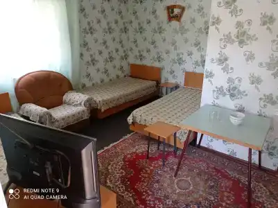 Подсолнухи - 25