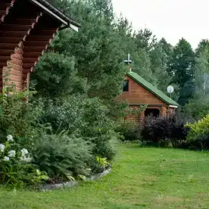 Лесной Эдем - 4