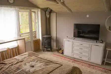 Боровики - 20