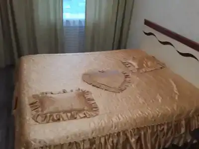 Уютные чистые аппартаменты с двумя изолированными комнатами Карла Маркса у фонтана на Московской площади - 2