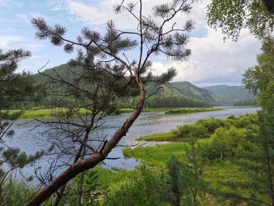 Хозяин тайги - 26