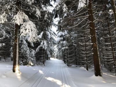 Fichtelberger Blick - 12