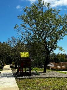 Айфрейм в Асечкуа - 18