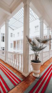Splendid Palace - 10