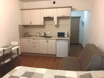 Студия в Отраде - 0