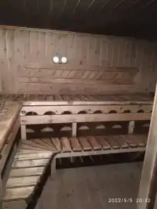 Байкальский кедр - 17
