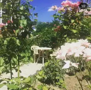 Нантиа - 2
