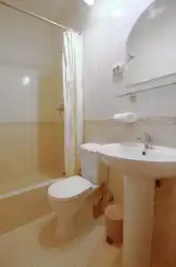 Инжир - 27