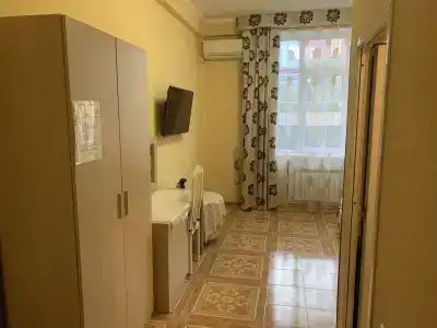 Аист - 32