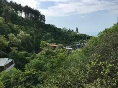 Дом на Бестужева Марлинского - 13