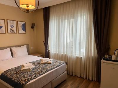 Sultanahmet Inn - 61