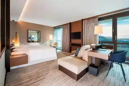 Sheraton Grand Tbilisi Metechi Palace - 20