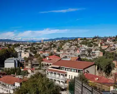 Marioni - 29