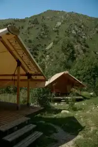 Pana Ayusai - 15