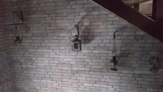 Эдельвейс - 19