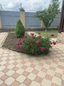 Vip House - 40