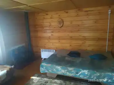 Байкальский кедр - 6