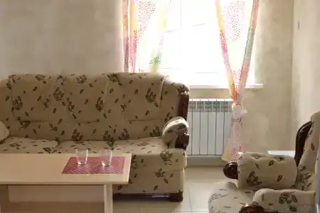 Рябинка - 4