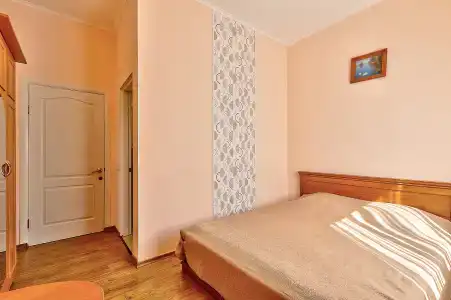Дельфин - 50