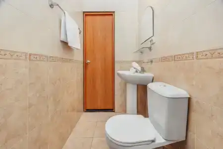 Инжир - 41