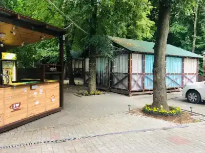 Роза - 5