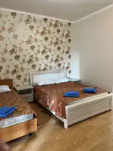 Виолетта - 67