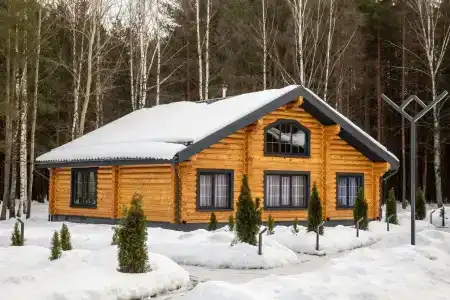 Лесной Дух - 14