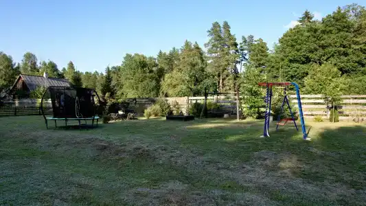 Магия леса в Беловежской пуще - 136