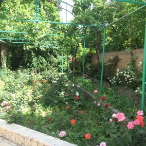 Eco-Resort Lorret - 30
