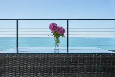 Royal - 14