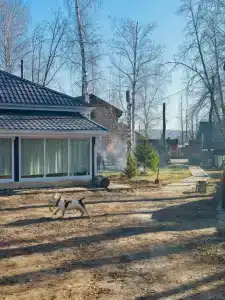 Чайка - 0