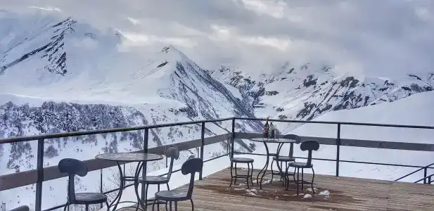 Monte - 5