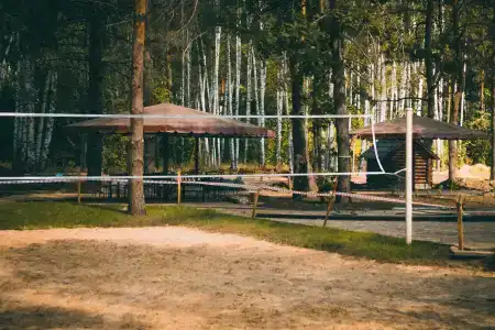 Лесная Сказка - 15