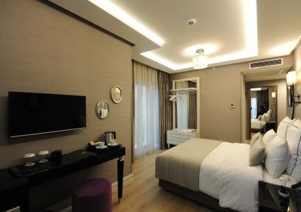 Le Petit Palace - Special Category - 41