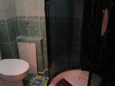 Гостеев - 27