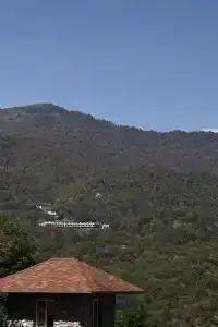 Dilijan Park Resort & Villas - 14
