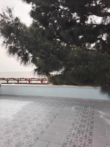 Ооо Альтаир Гостиничный Комплекс Бухта - 35