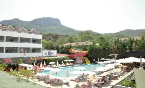 Grand Viking - 12