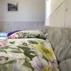 Третники - 24