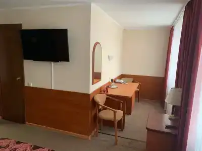 Спутник - 21