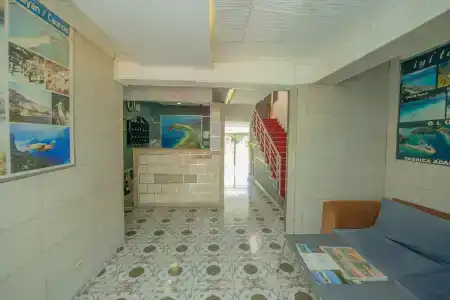 Alis - 18