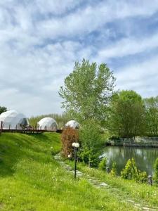 Qafqaz Thermal & Spa Resort - 37