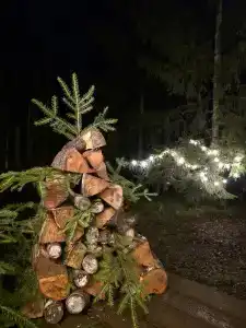 Вейкпарк Волма - 27