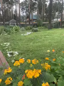Подснежник - 20