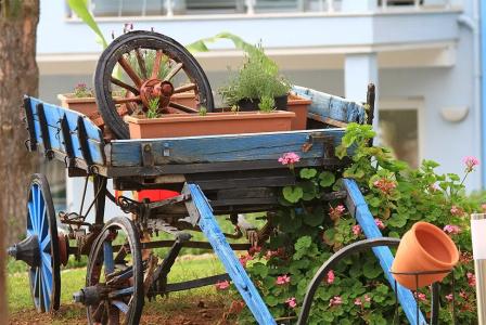 Daisy Garden Resort - 3