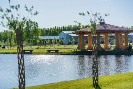 Место 7 - 21