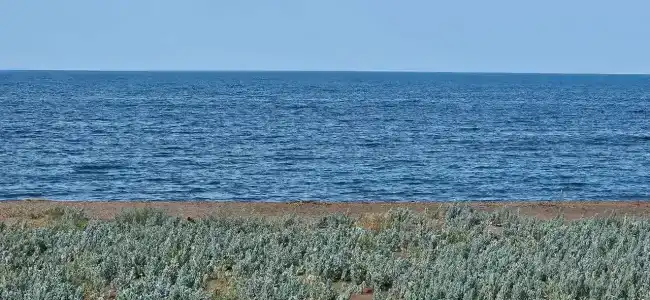 Глэмпинг на 4 человека у моря - 15