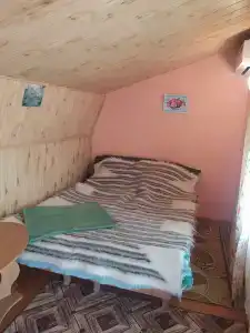 Селика - 25